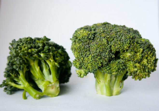 broccoli - 