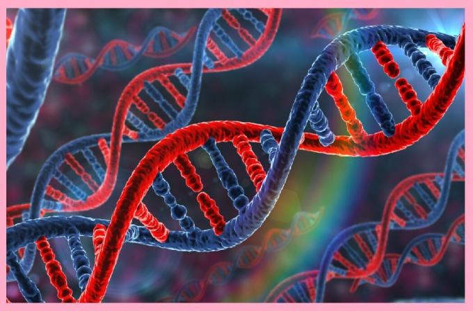 DNA segments (genes) are inherited, and contain information that is responsible for the health, and predisposition to disease.