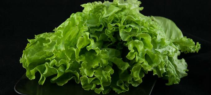 Leafy vegetables - leafy vegetables