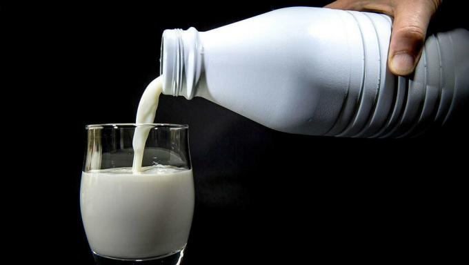 Milk - milk