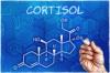 The whole truth about cortisol: how to support the main hormone in the body