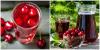 7 recipes refreshing compotes currant
