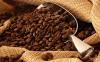 How to select the best coffee beans?