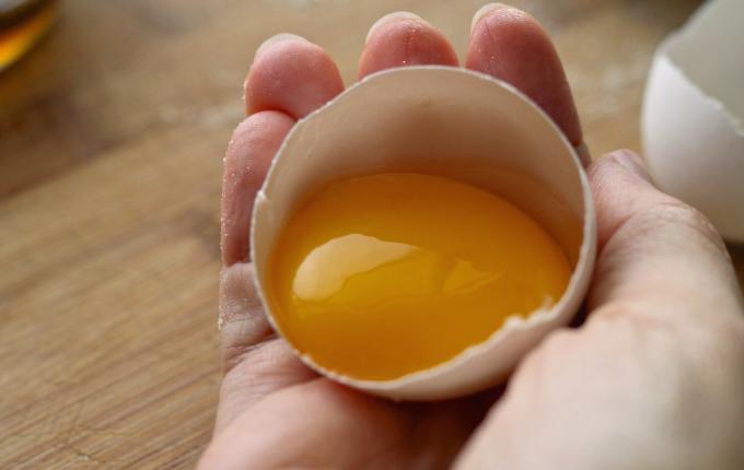 The egg yolk - egg yolk