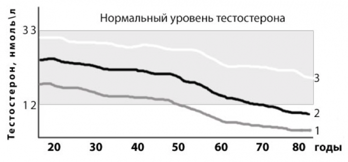 Figure 2 - The individual terms of approach age-related androgen deficiency, depending on the sexual constitution (testosterone levels 20 years) 1 - a man with a weak sexual constitution, 2 - a man with an average sexual constitution, 3 - a man with a strong sexual constitution. Dedov II "Andropause in men." 