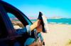 8 simple rules of safe family travel by car
