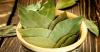 Bay leaf: medicinal properties and contraindications