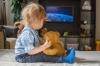 Psychologists told why cartoons are dangerous for a child