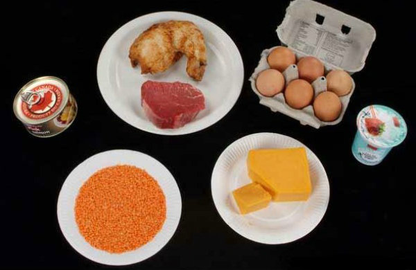 Protein foods - protein food