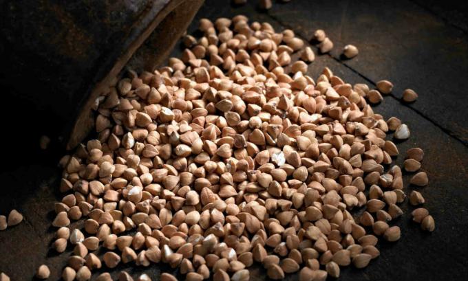 buckwheat - 