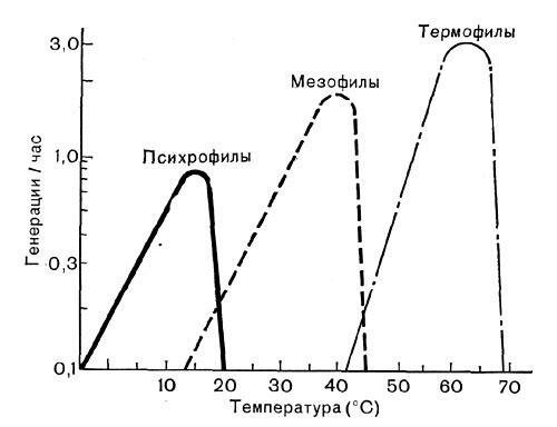 Table survival of microorganisms: even thermophiles (those who like it hot) cease to reproduce and die at 60 degrees.