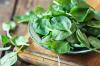 Spinach in baby food: useful and dangerous properties, how to choose and cook