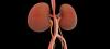6 hazardous products kidney