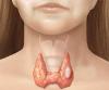 The nodes in the thyroid gland: it is possible that you can not?