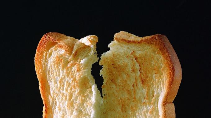 Toasted bread - bread toast