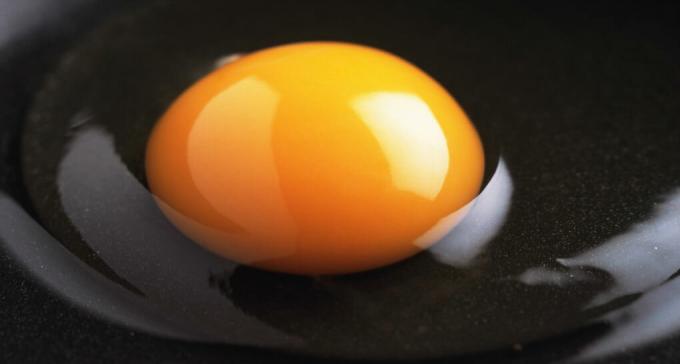 Egg white - the white of an egg