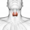 Subclinical hypothyroidism: a disease or not?
