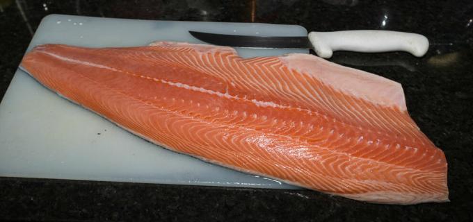 Salmon - salmon