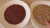 Benefits of eating sprouted buckwheat
