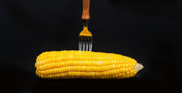 Corn - corn