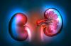 Renal insufficiency: true signs of early stage