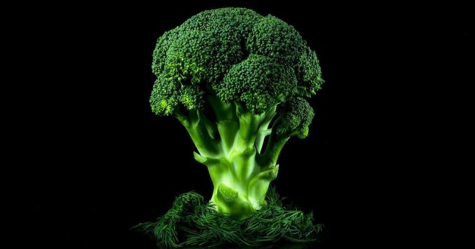 Broccoli - broccoli
