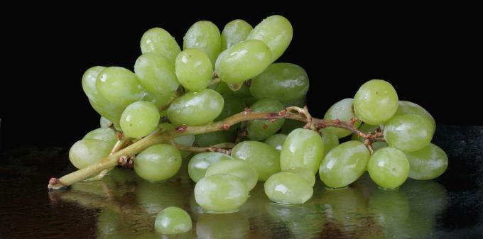 Grapes - grape