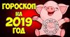 Horoscope for each sign of the zodiac in the Year of the Pig