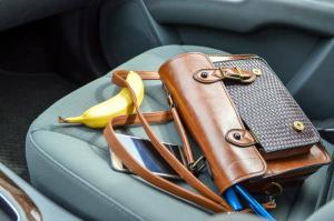 How to choose the right organizer in the car