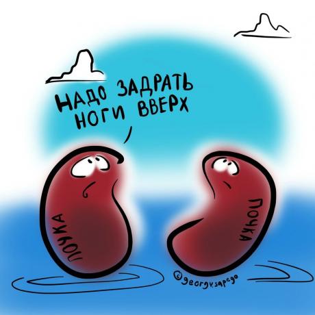 Kidneys detained water