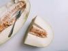 Lush melon charlotte: recipe step by step