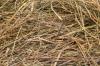 Needle in a haystack. 7 qualities of "your" man