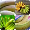 How to get rid of stomach problems with the help of green banana