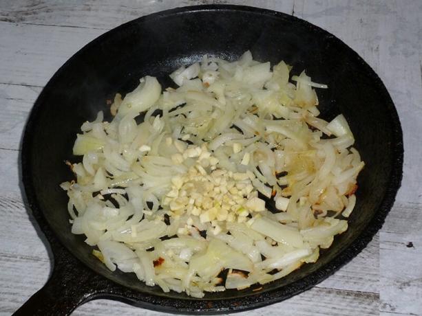 Passeruem onion and garlic