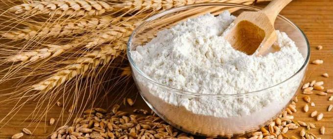 Wheat flour - wheat flour