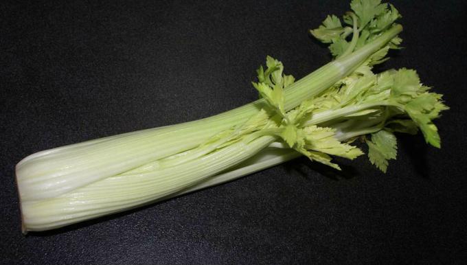Celery - celery