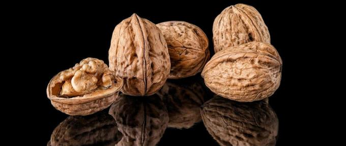 Walnuts - walnut