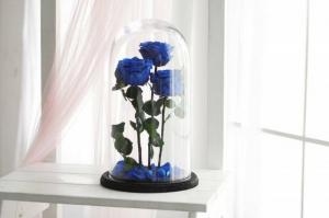 Eternal rose: how to make a trendy home decoration with your own hands