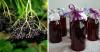 As black elderberry helps women's health