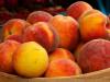 Can I eat a peach for those who are on a diet? Article Details