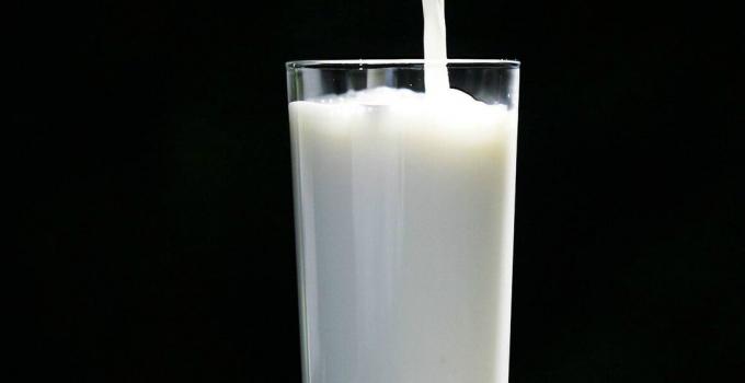 Milk - milk