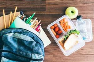How to choose a lunch box for school: TOP-6 selection criteria