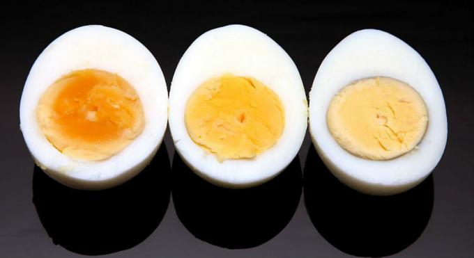 Eggs - eggs