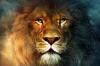12 characteristics of the Lions, for which you will love them