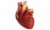 Symptoms and first aid for acute myocardial infarction