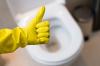 TOP-3 natural remedies for disinfection of a bathroom