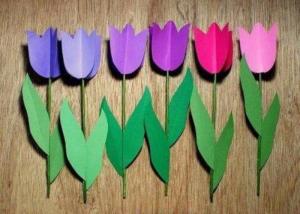 Bouquet, yaky not zіv'yane: Tulips of cardboard svoїmi hands