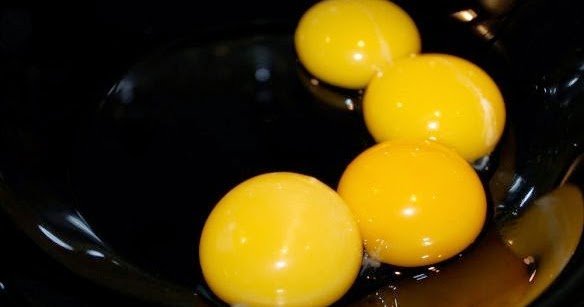The egg yolk - egg yolk