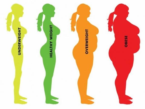 1. lack of weight 2. Healthy 3 wt. Overweight 4. Obesity