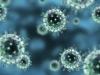 Influenza virus B (Colorado) in the 2019-2020 year: beware!